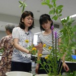 あなたの希望のスタイルに合わせて学べます。